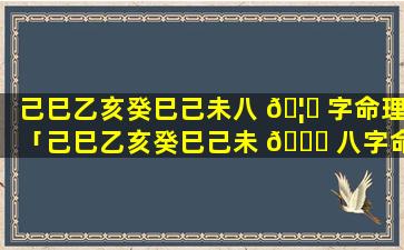 己巳乙亥癸巳己未八 🦁 字命理「己巳乙亥癸巳己未 🐎 八字命理详解」